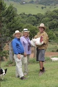 Northern Rivers Lyndey Herbie Sunforest Turkeys.